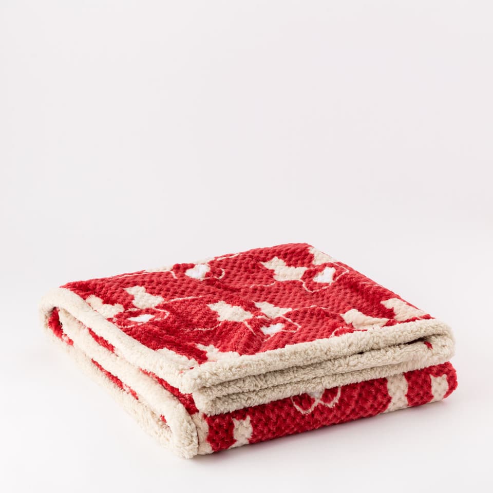 Plaid Jacquard Gattini